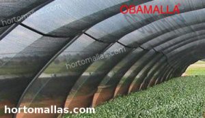tunnel made shade net providing protection against the high temperatures
